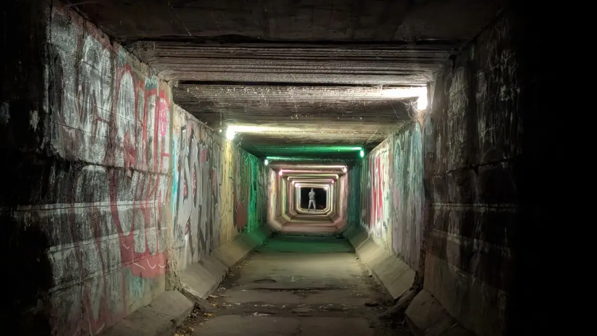 Der Rattentunnel