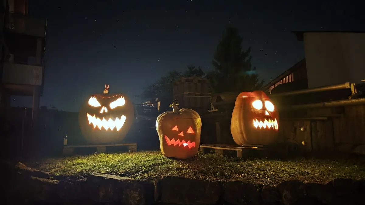 Tamara Vöhringer und ihr Partner haben in Schwendi Riesenkürbisse gezüchtet. Zu Halloween stellen sie die nun aus.