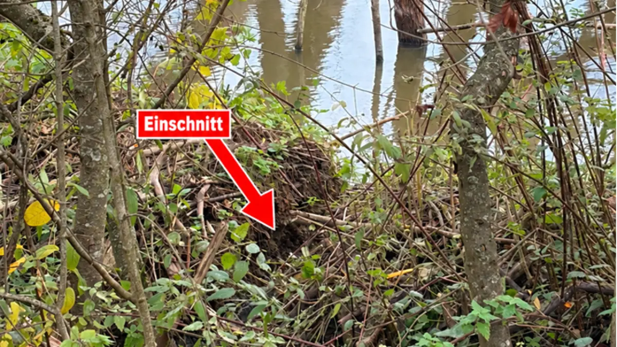 Gewaltsamer Eingriff in den Bibersee